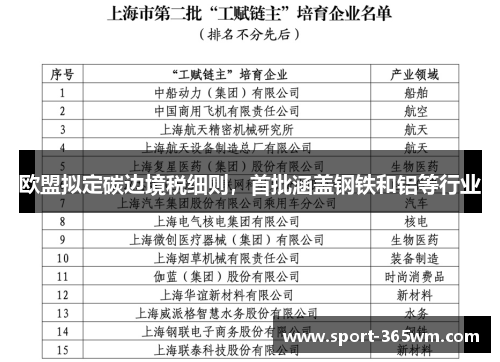 欧盟拟定碳边境税细则，首批涵盖钢铁和铝等行业